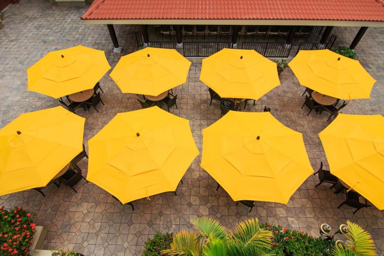 Windward Passage Hotel Charlotte Amalie Ngoại thất bức ảnh
